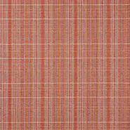 Oxana Check (J0188-06)